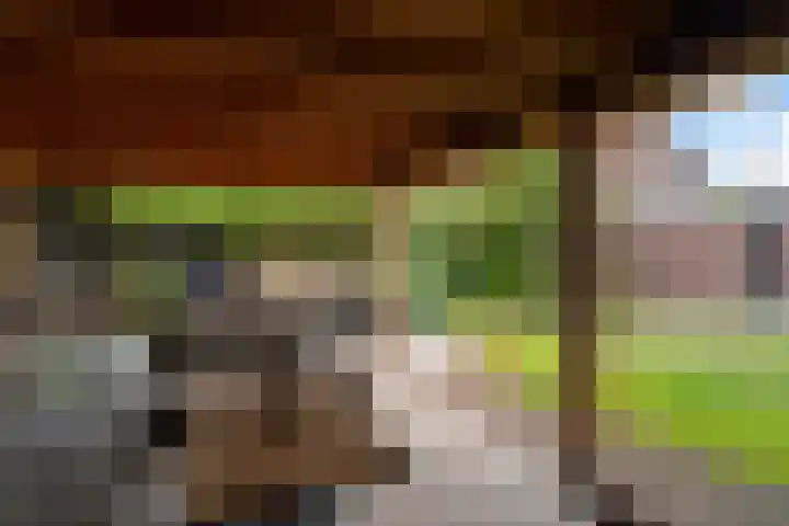 Goudplevier 38 Waspik thumbnail 8