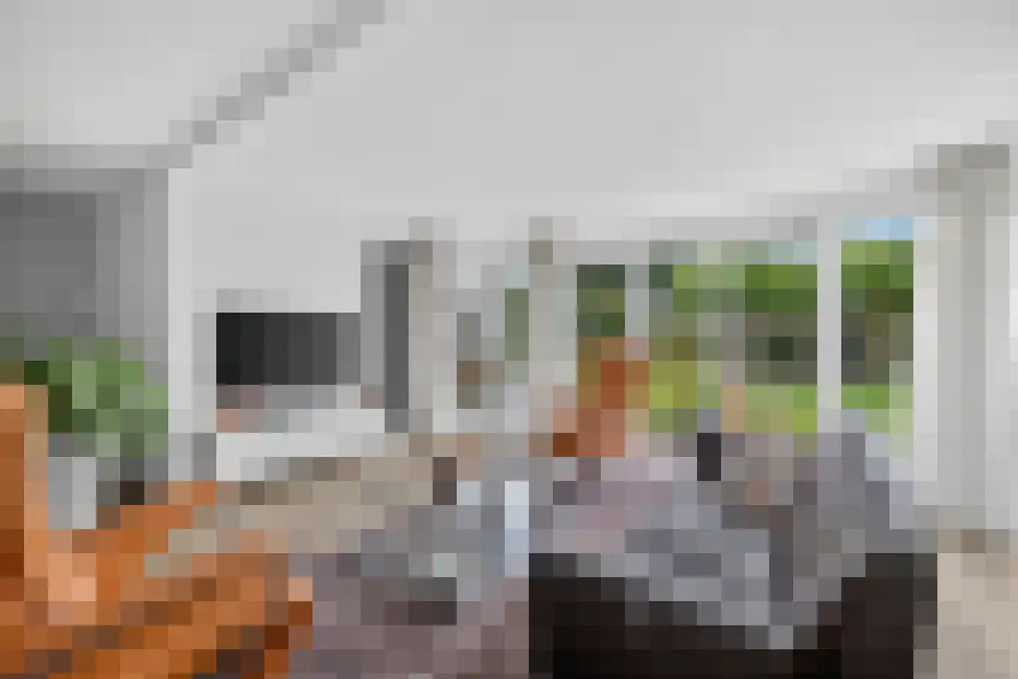 Goudplevier 4 Raalte thumbnail 10