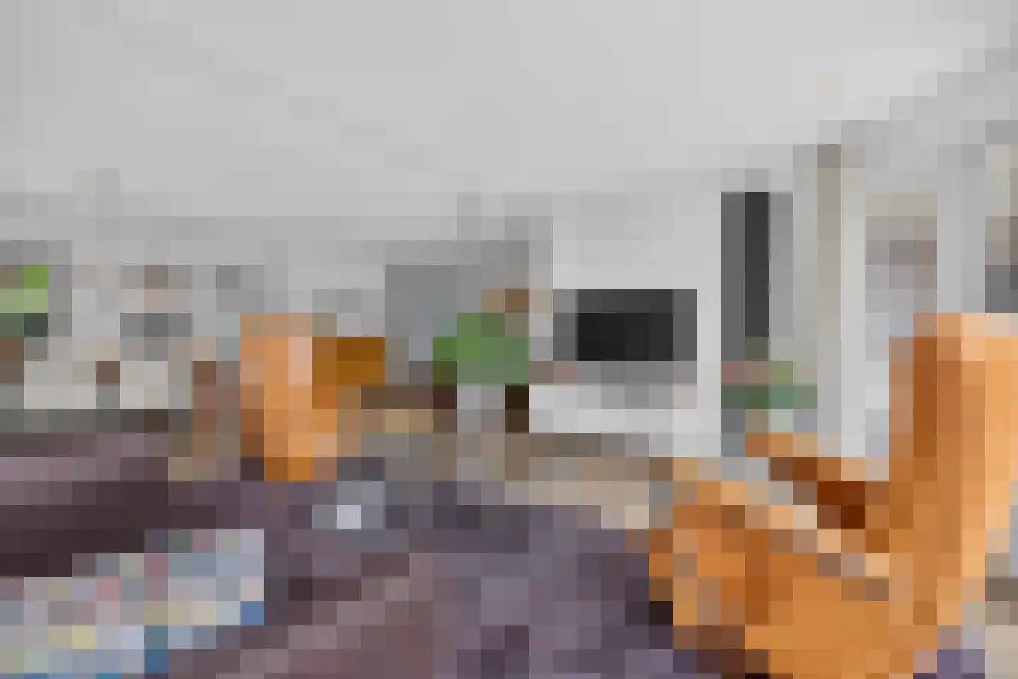 Goudplevier 4 Raalte thumbnail 13