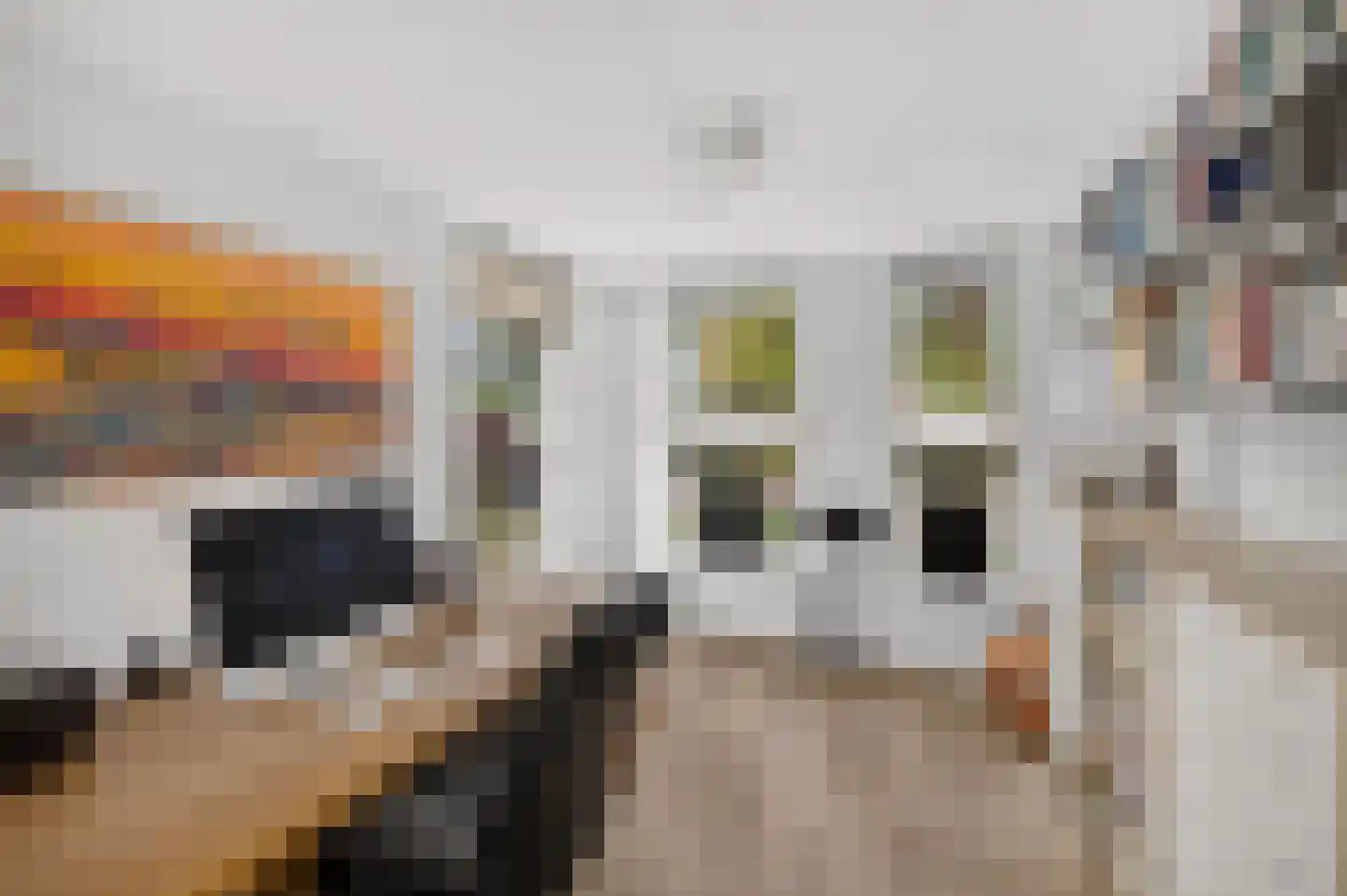 Goudplevier 4 Raalte thumbnail 17