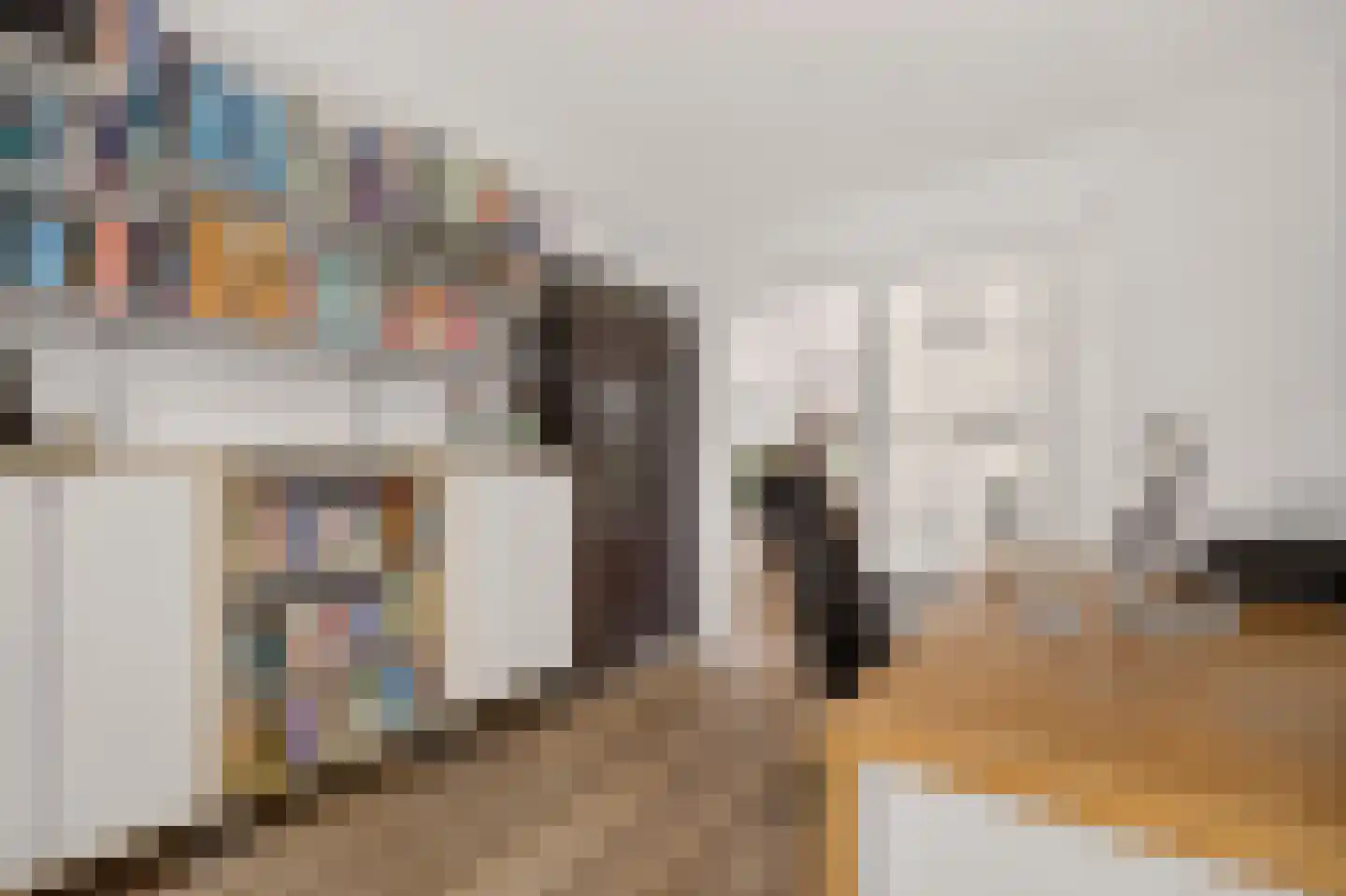 Goudplevier 4 Raalte thumbnail 18