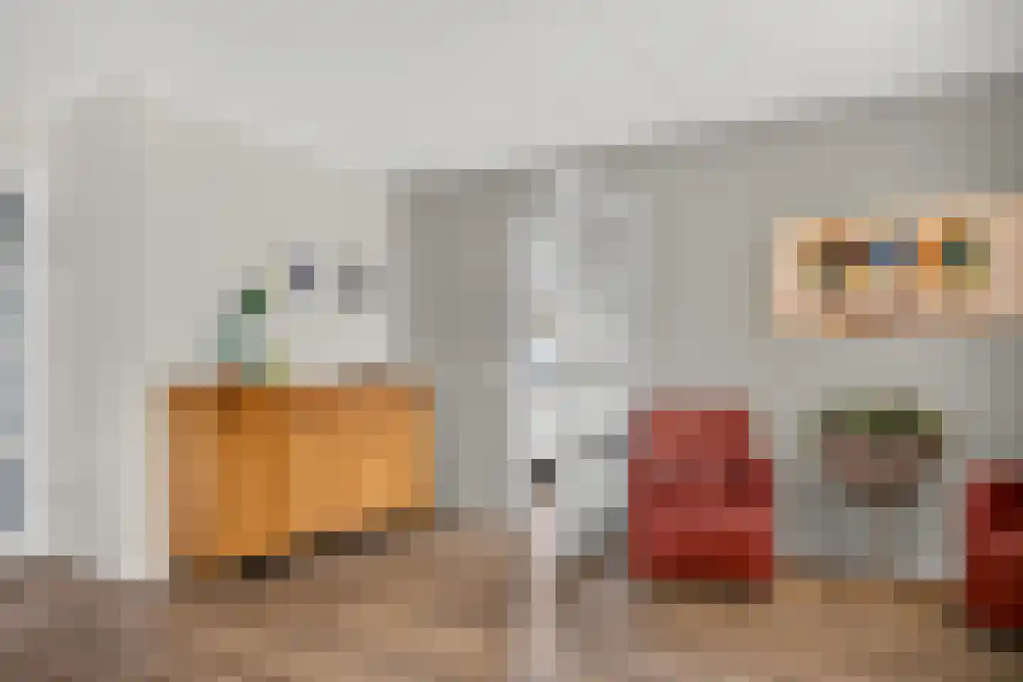 Goudplevier 4 Raalte thumbnail 19