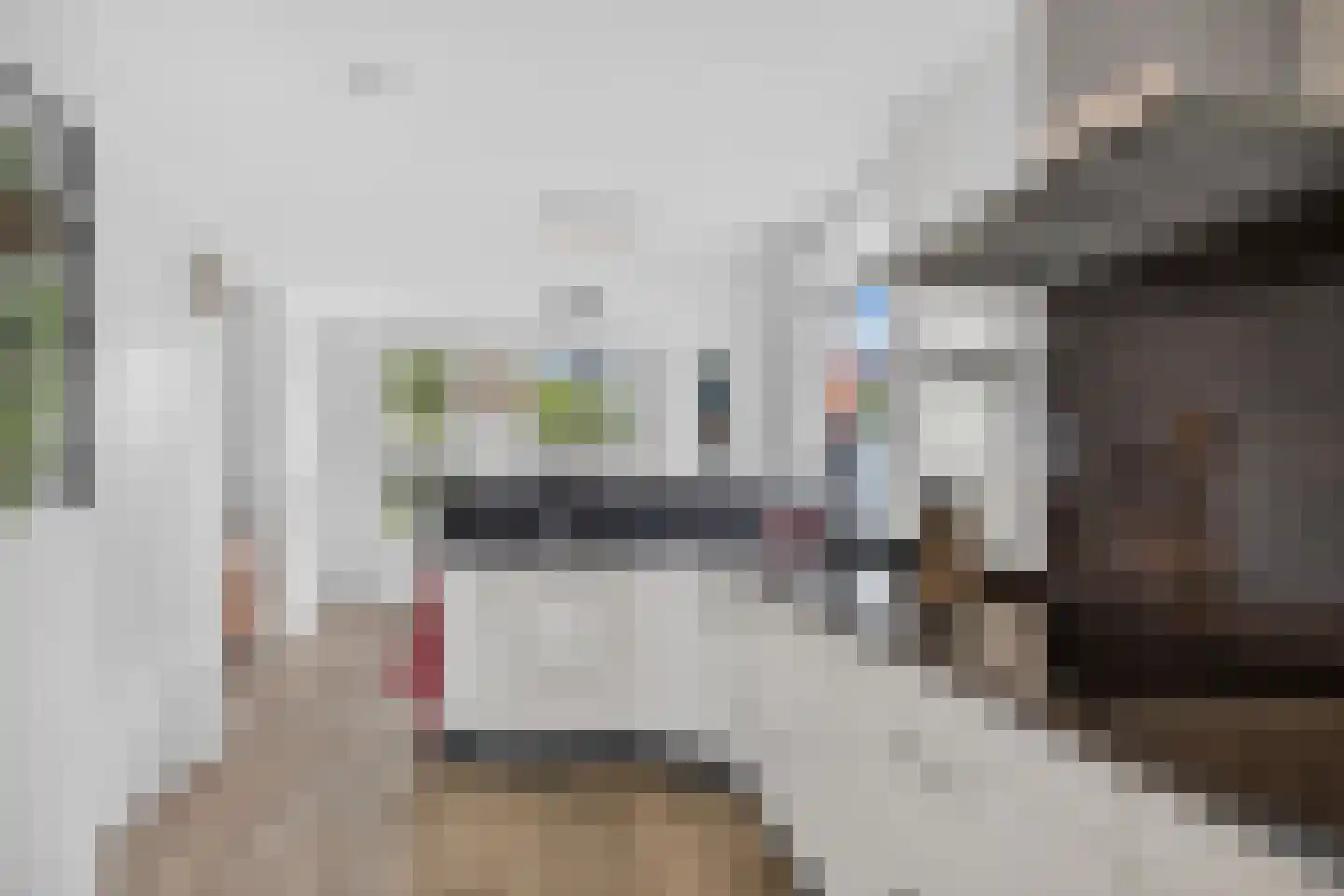 Goudplevier 4 Raalte thumbnail 21
