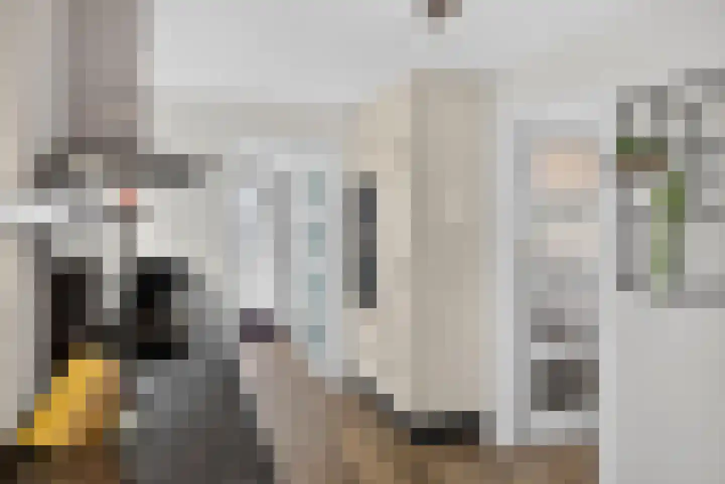 Goudplevier 4 Raalte thumbnail 22