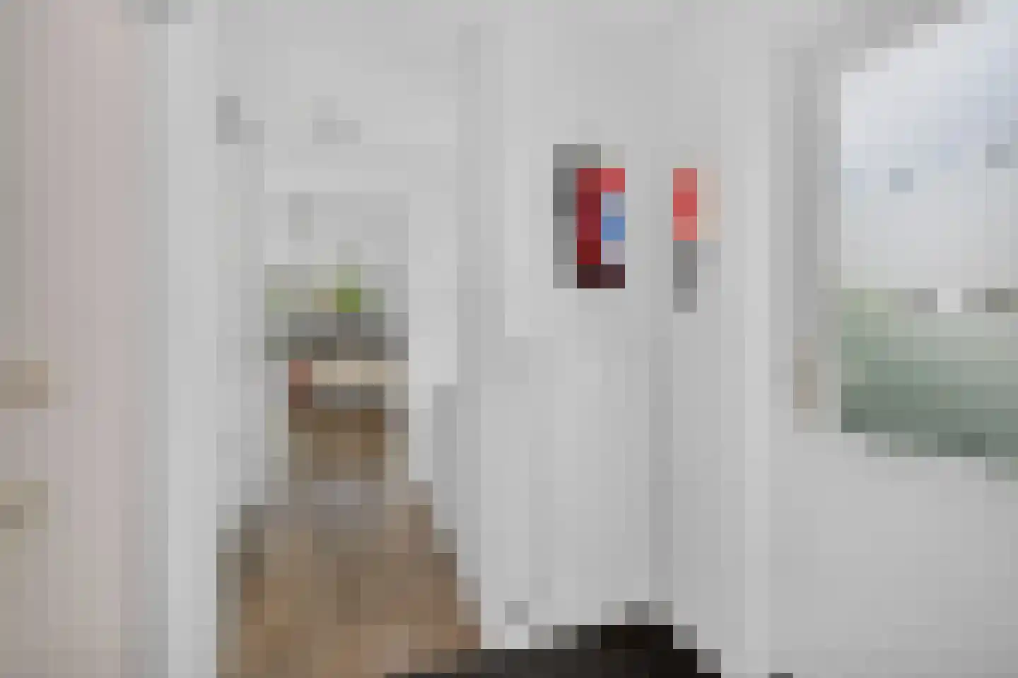 Goudplevier 4 Raalte thumbnail 25