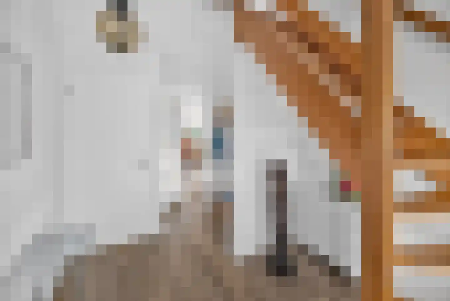 Goudplevier 4 Raalte thumbnail 26