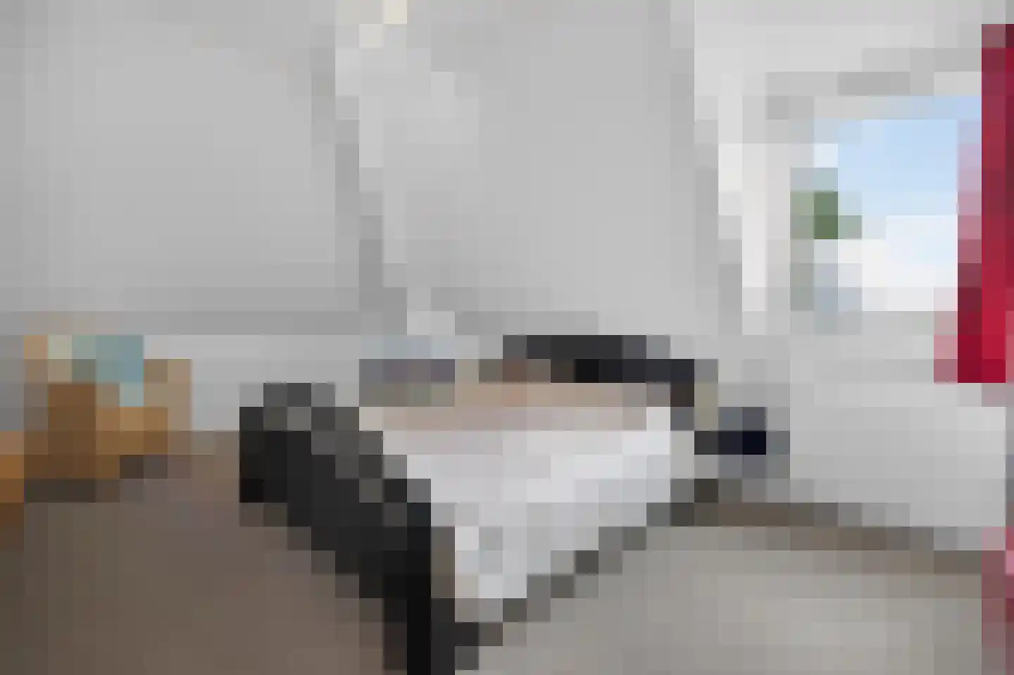 Goudplevier 4 Raalte thumbnail 30