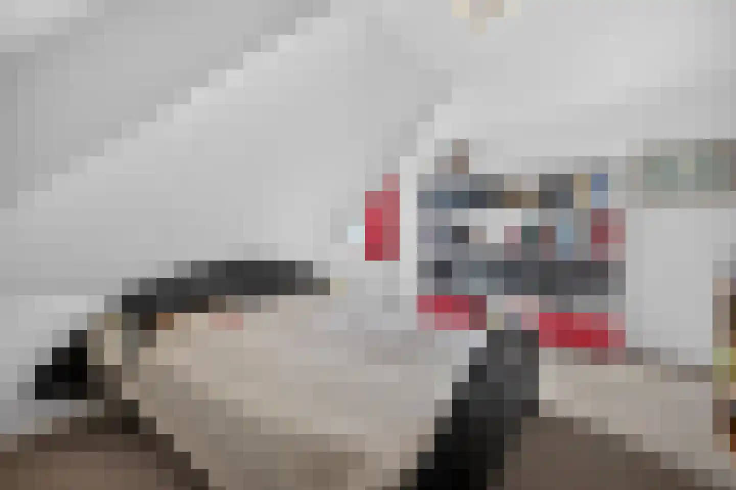 Goudplevier 4 Raalte thumbnail 31