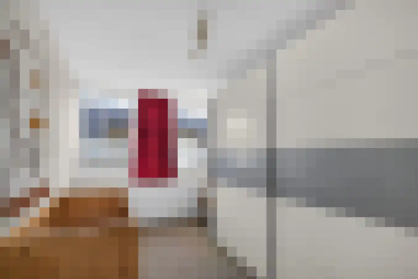 Goudplevier 4 Raalte thumbnail 32