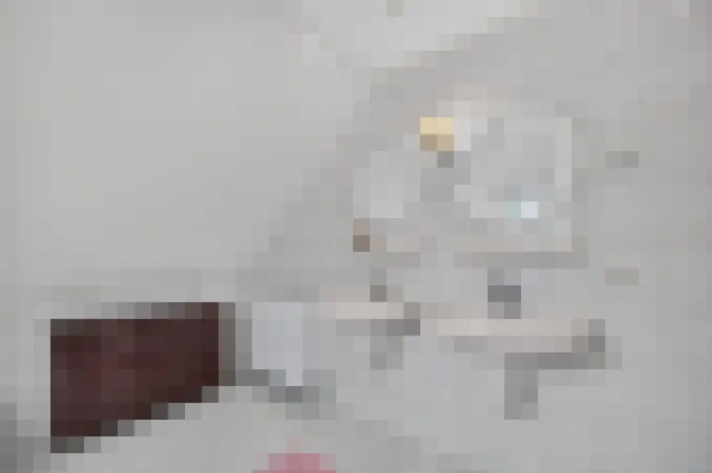 Goudplevier 4 Raalte thumbnail 34