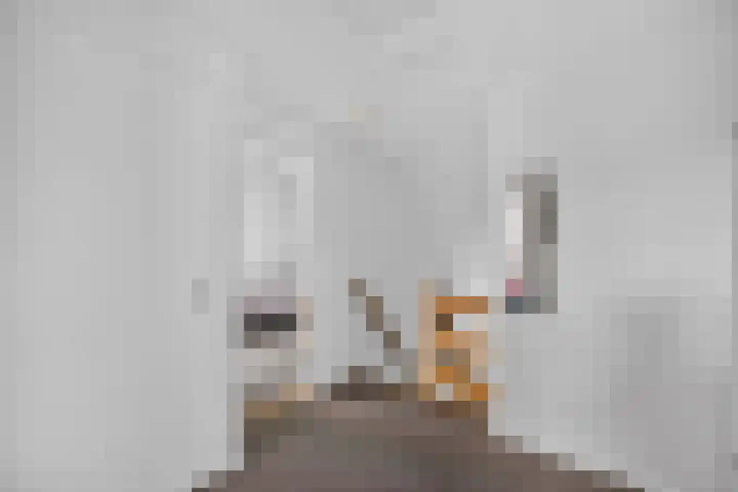 Goudplevier 4 Raalte thumbnail 37