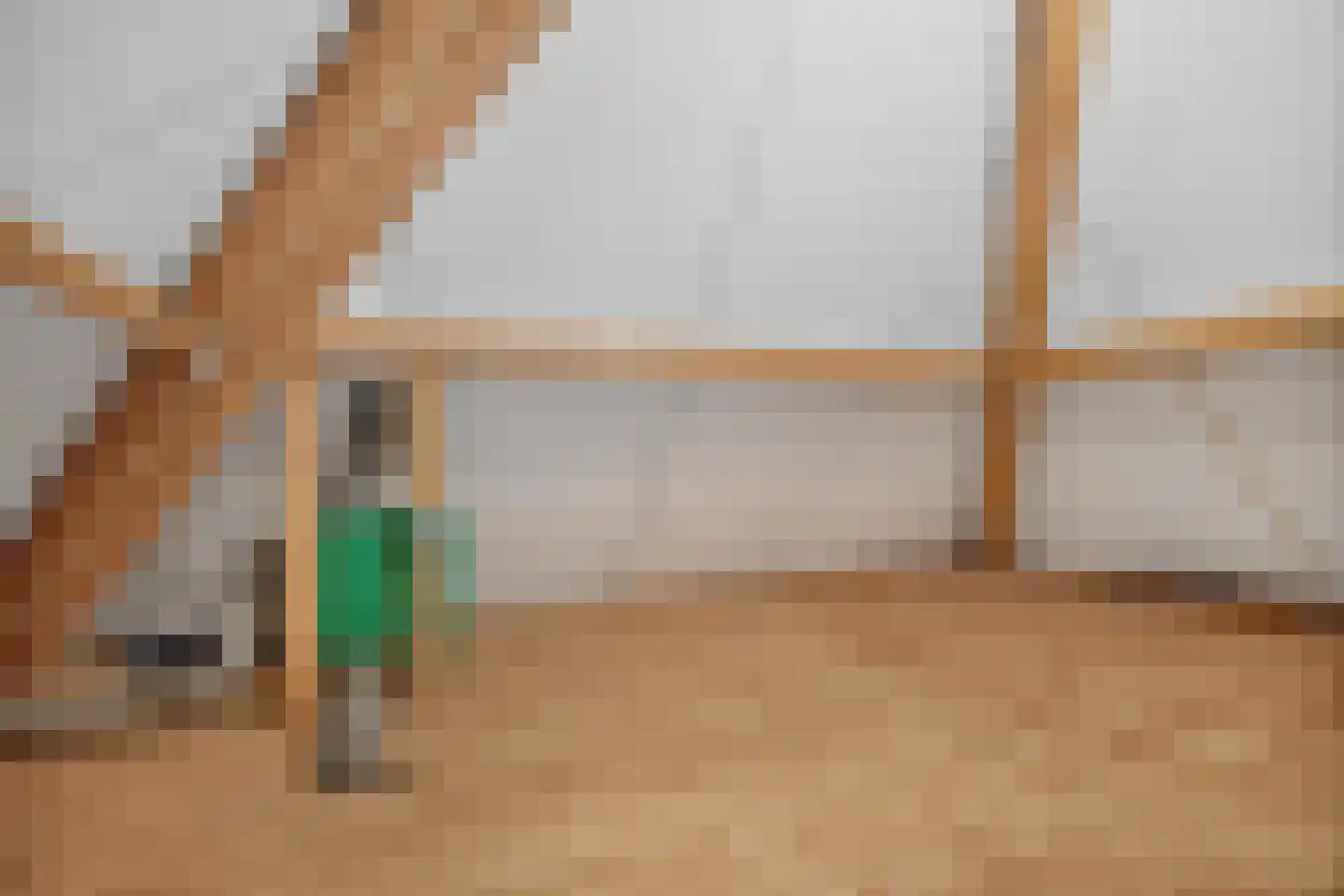 Goudplevier 4 Raalte thumbnail 40