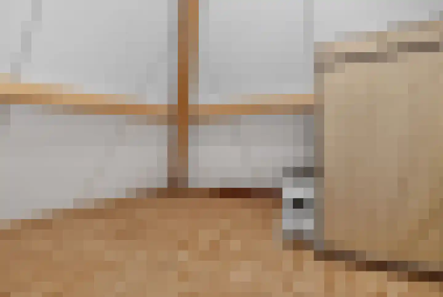 Goudplevier 4 Raalte thumbnail 41