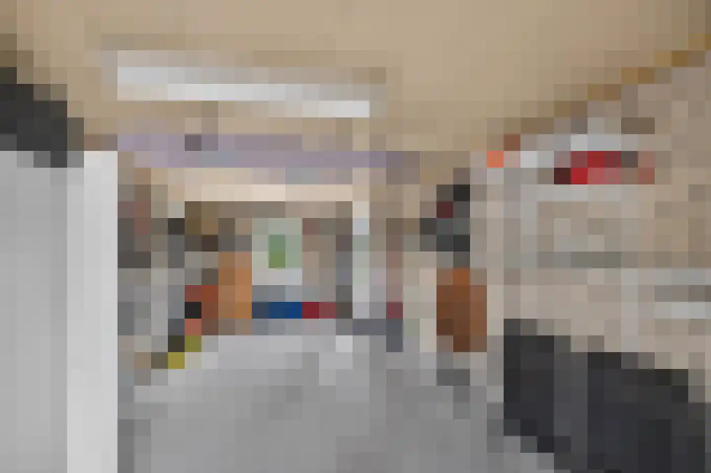 Goudplevier 4 Raalte thumbnail 42