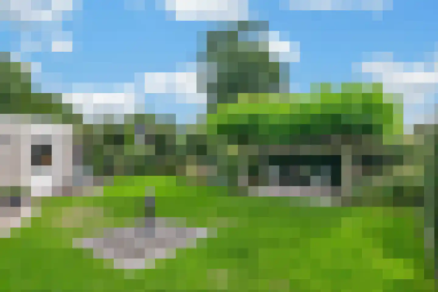Goudplevier 4 Raalte thumbnail 45