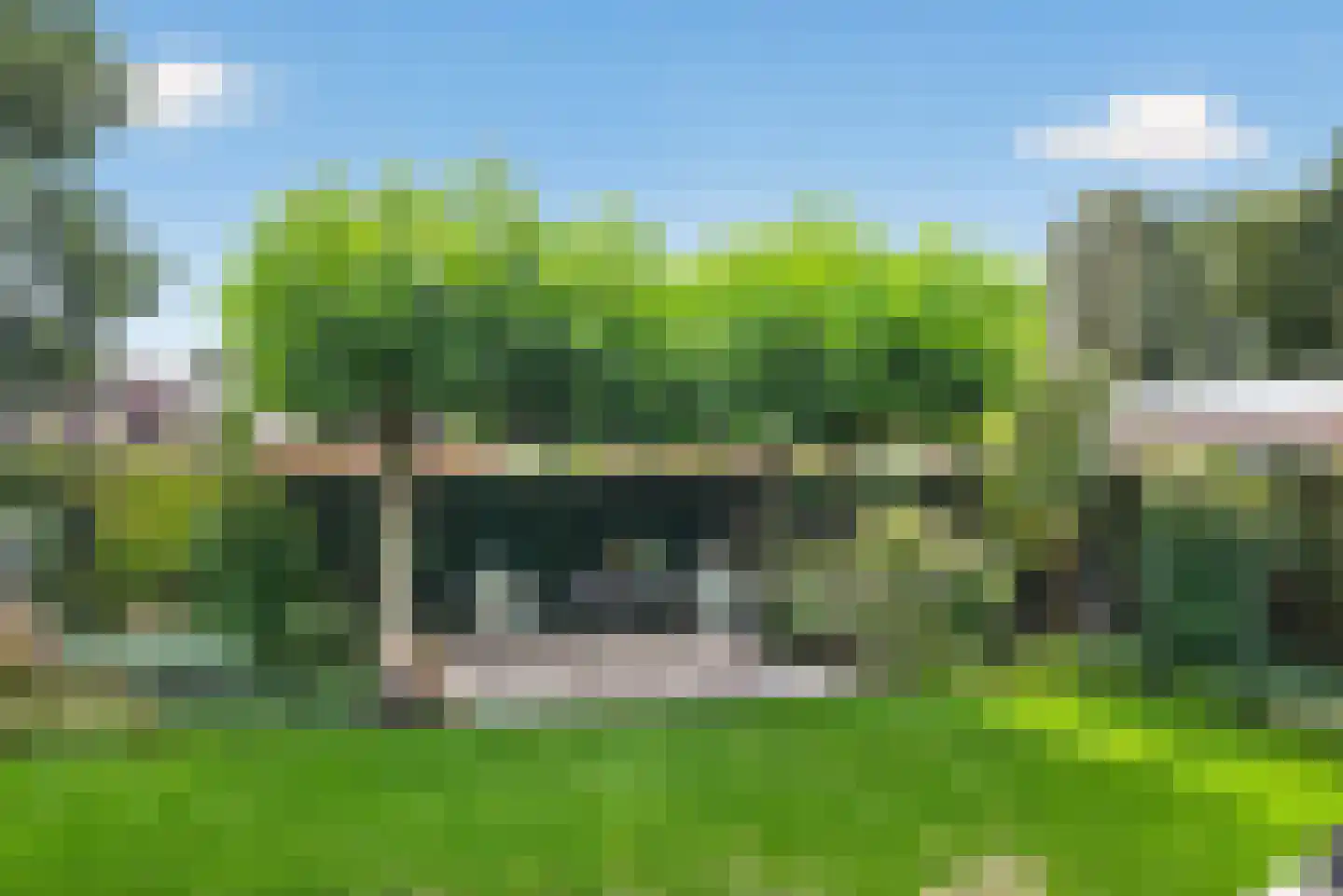 Goudplevier 4 Raalte thumbnail 46
