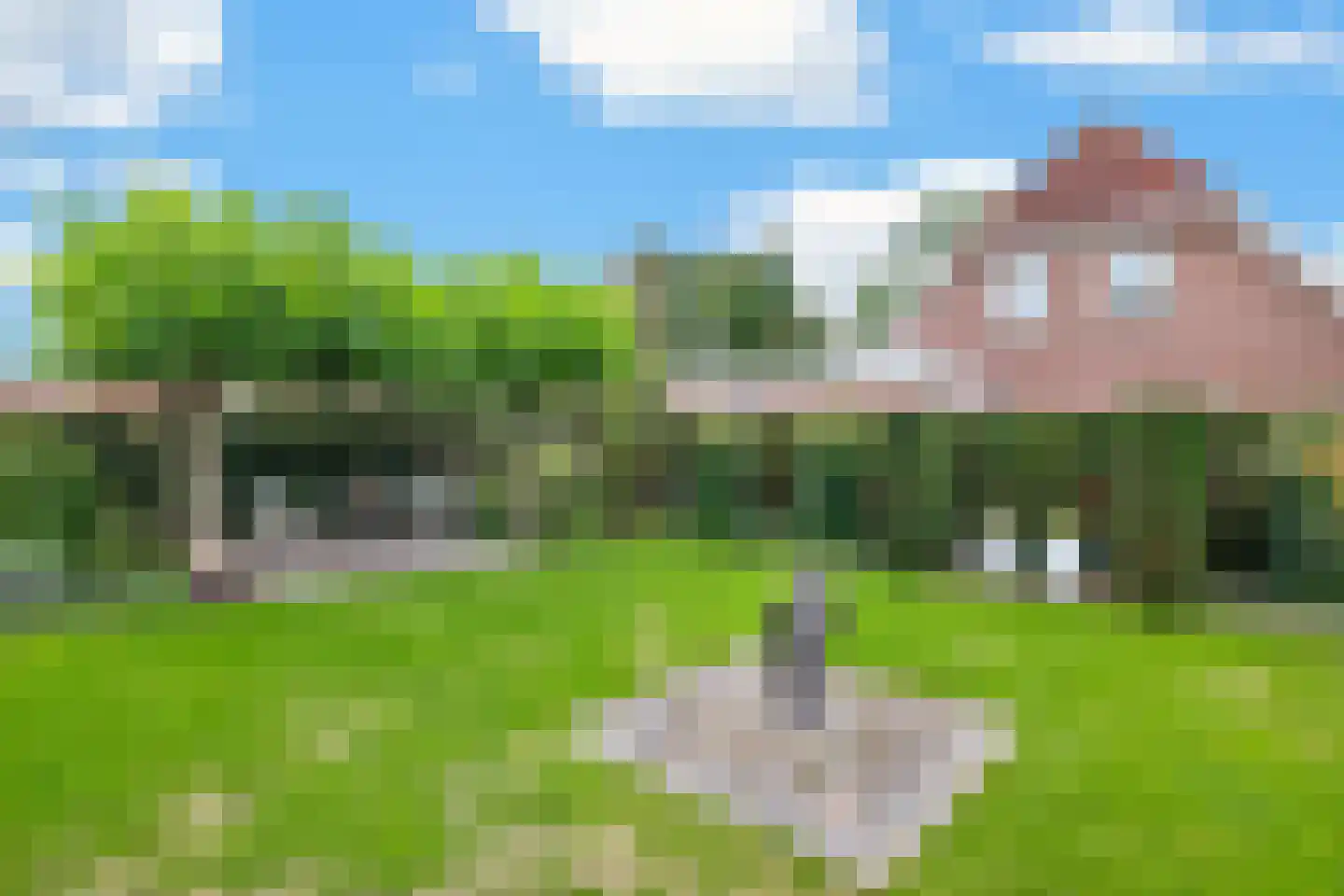 Goudplevier 4 Raalte thumbnail 47