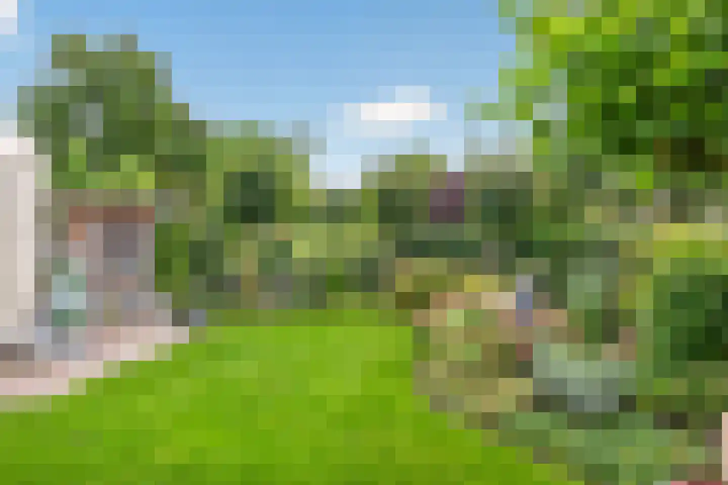 Goudplevier 4 Raalte thumbnail 48