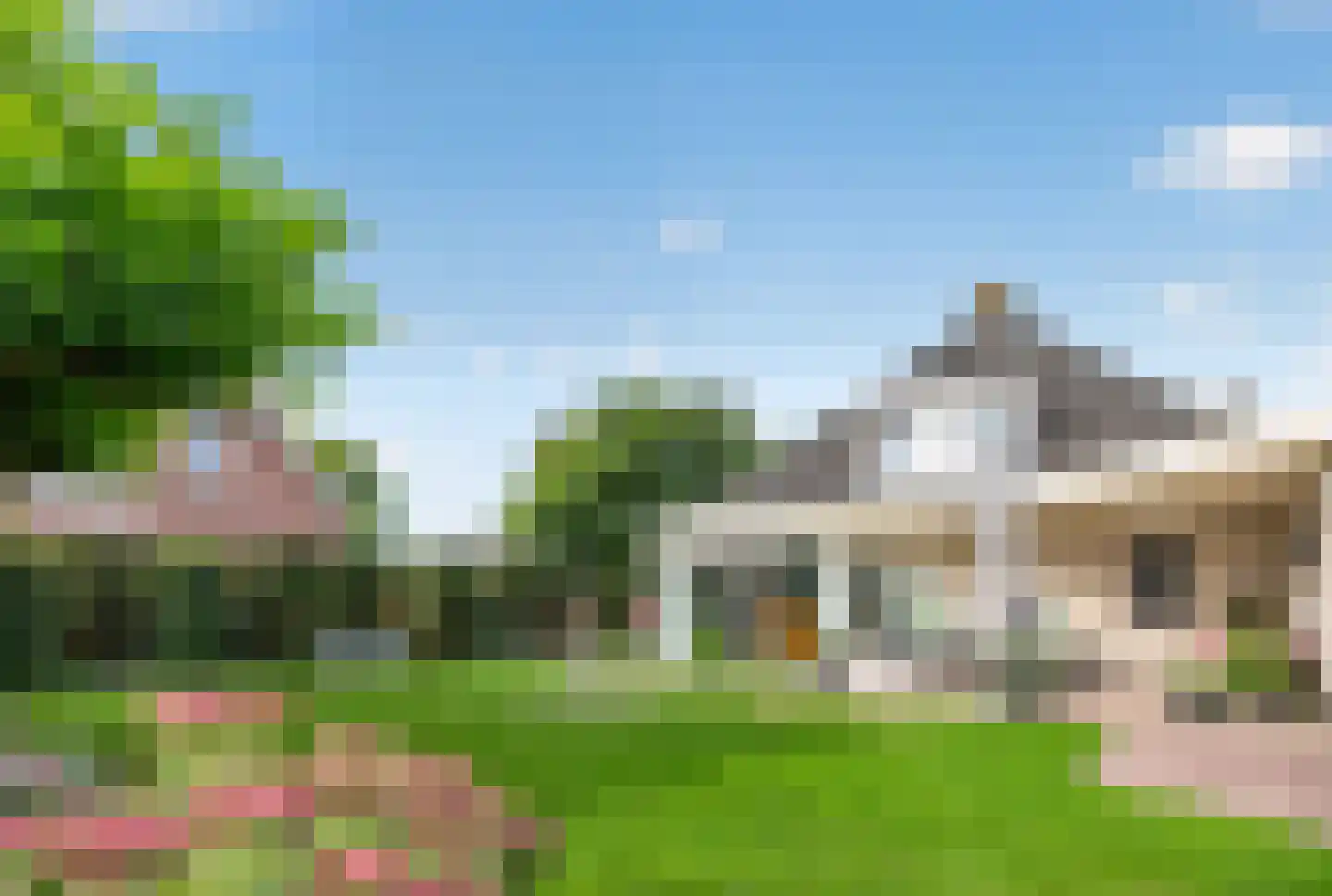 Goudplevier 4 Raalte thumbnail 49