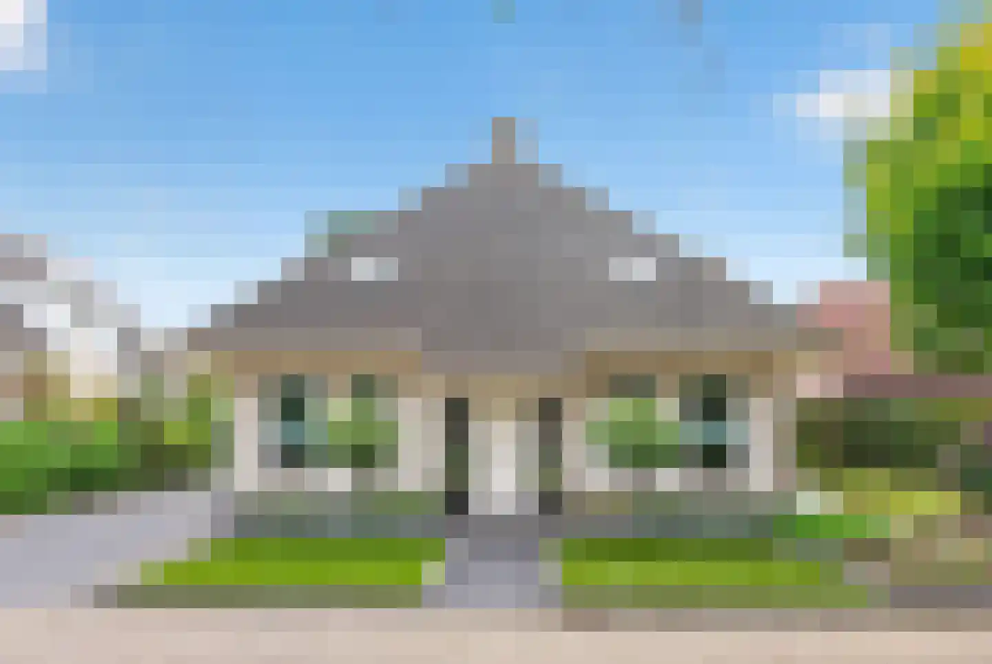 Goudplevier 4 Raalte thumbnail 5