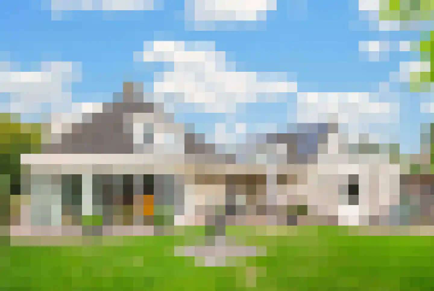 Goudplevier 4 Raalte thumbnail 50
