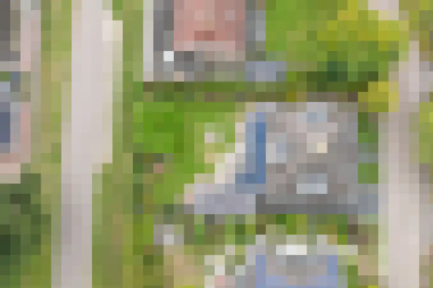 Goudplevier 4 Raalte thumbnail 56