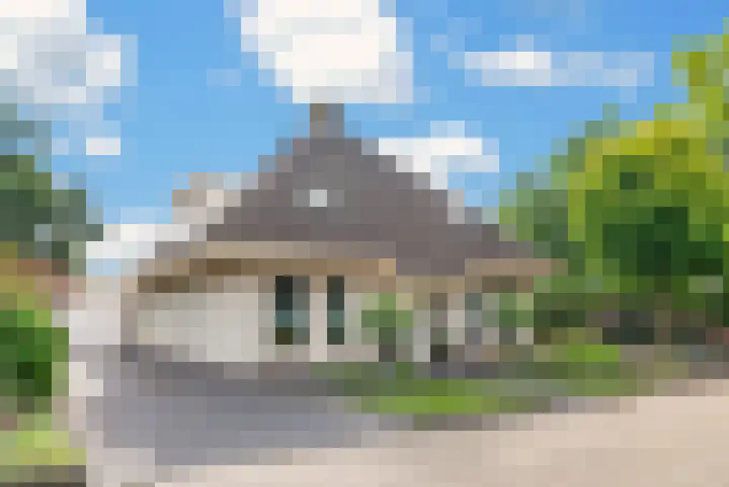 Goudplevier 4 Raalte thumbnail 6