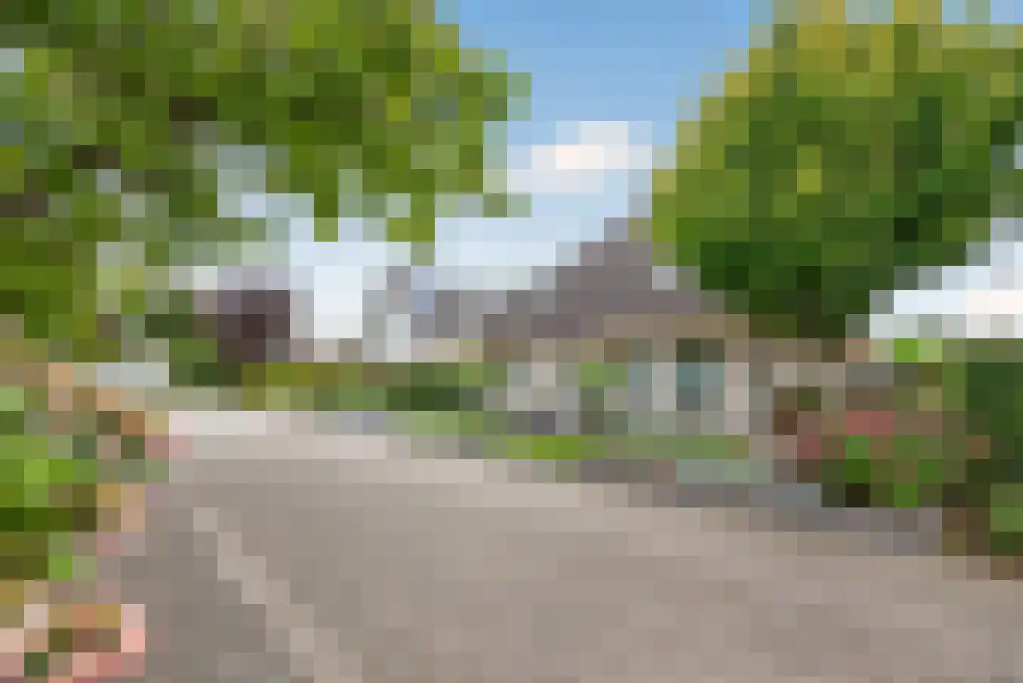 Goudplevier 4 Raalte thumbnail 7