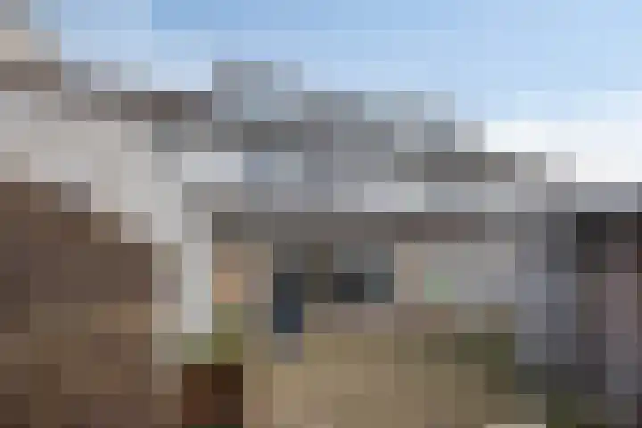 Goudplevier 49 A IJsselmuiden thumbnail 31