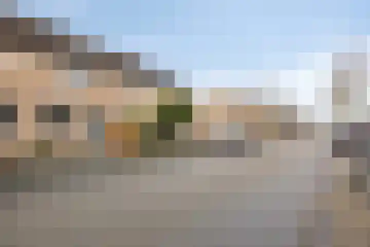 Goudplevier 49 A IJsselmuiden thumbnail 36