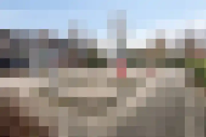 Goudplevier 49 A IJsselmuiden thumbnail 38