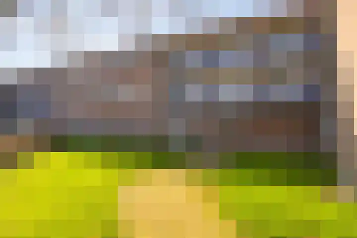 Goudplevier 57 IJsselstein thumbnail 6