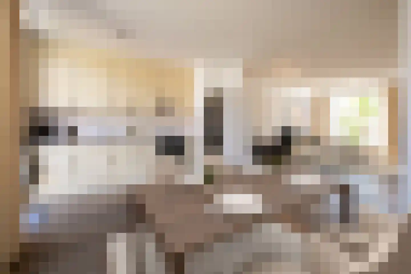 Goudplevier 58 Oss thumbnail 11
