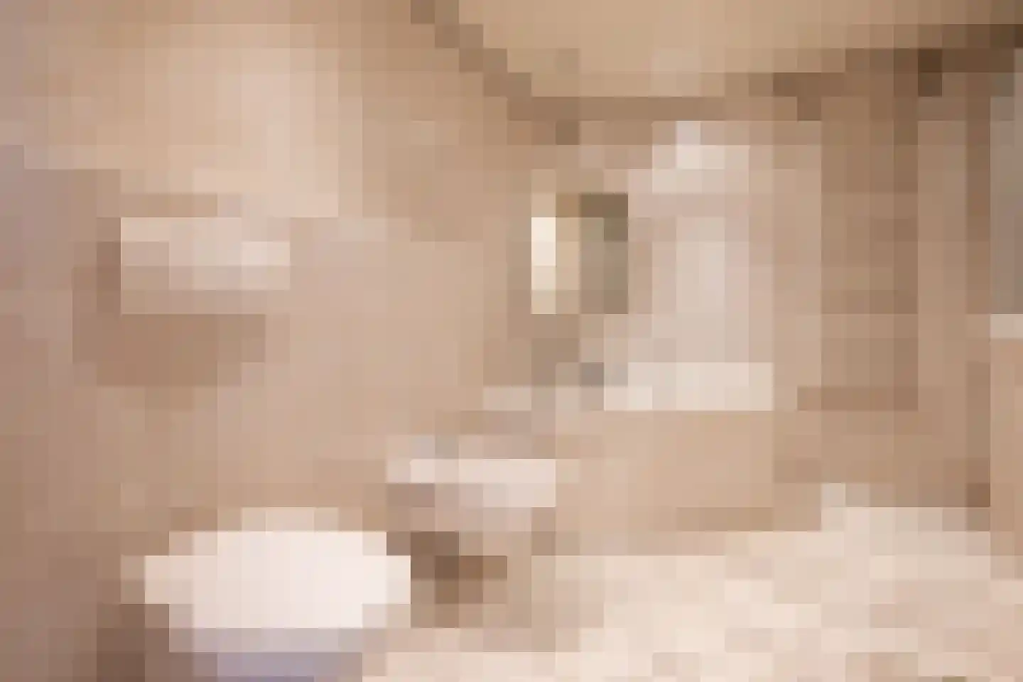 Goudplevier 58 Oss thumbnail 16