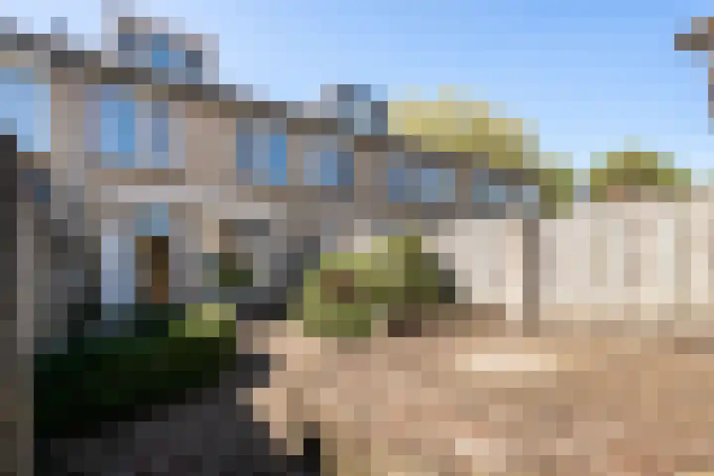 Goudplevier 58 Oss thumbnail 18
