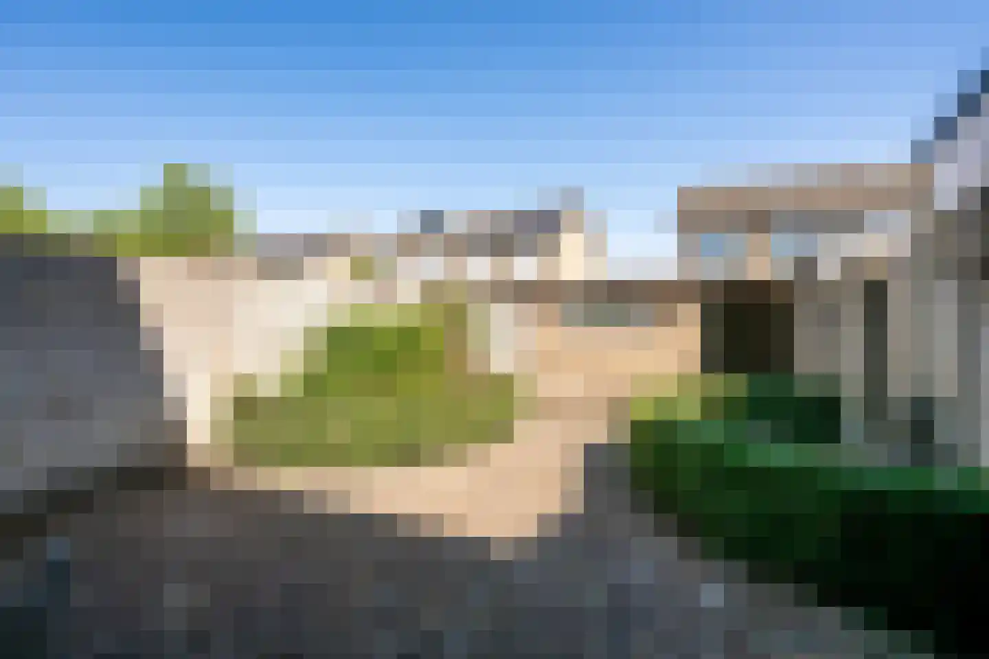 Goudplevier 58 Oss thumbnail 19