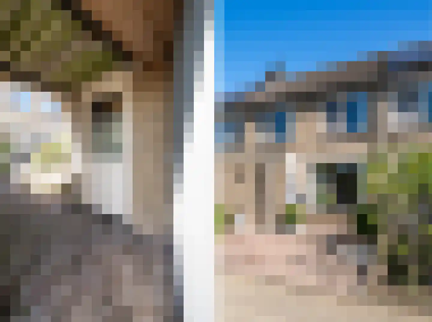 Goudplevier 58 Oss thumbnail 21