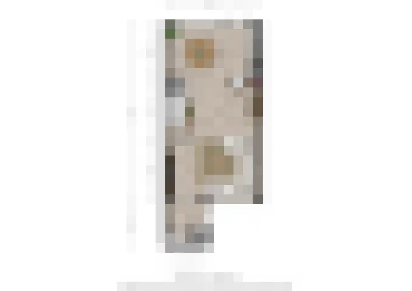 Goudplevier 58 Oss thumbnail 22
