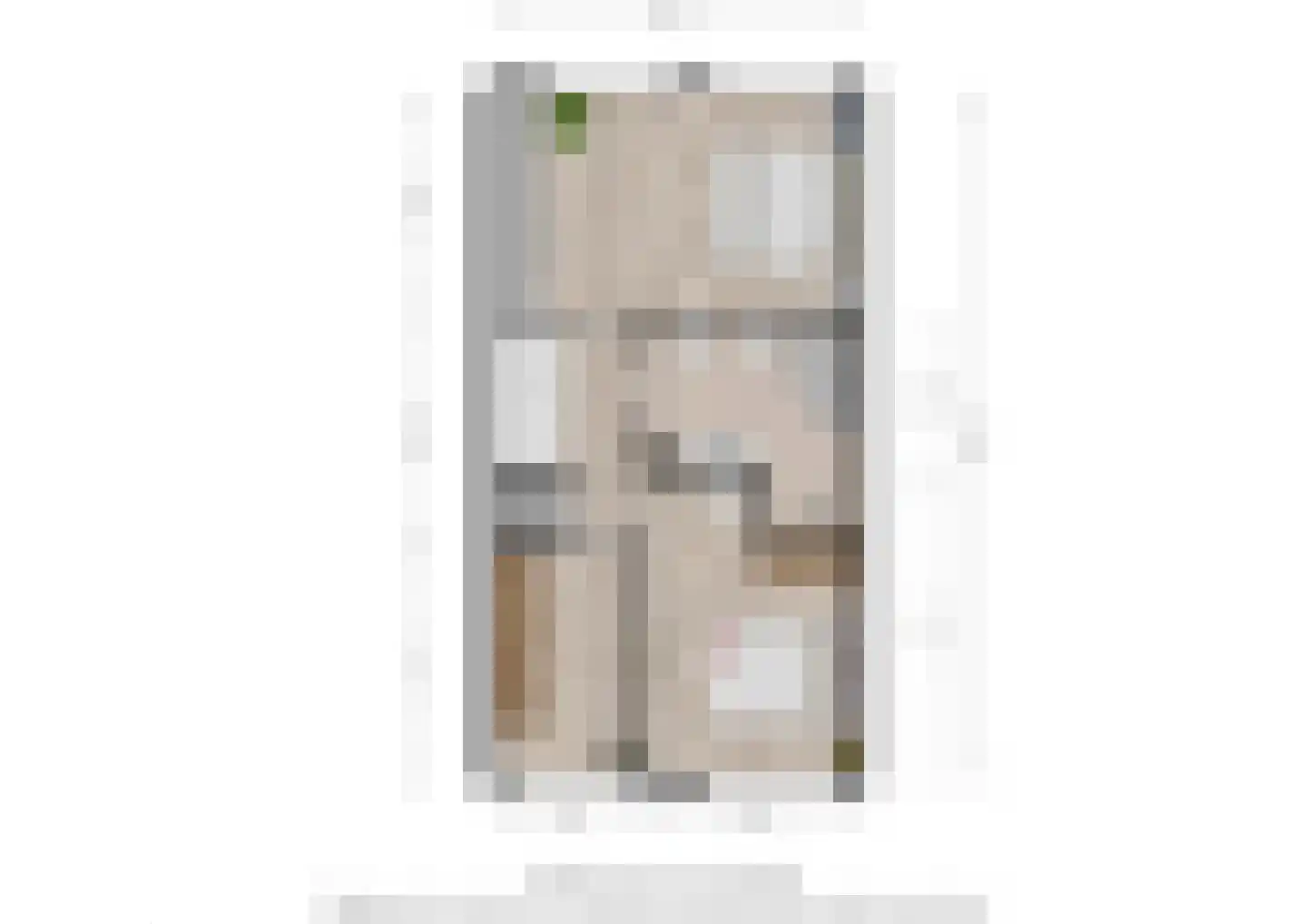 Goudplevier 58 Oss thumbnail 23