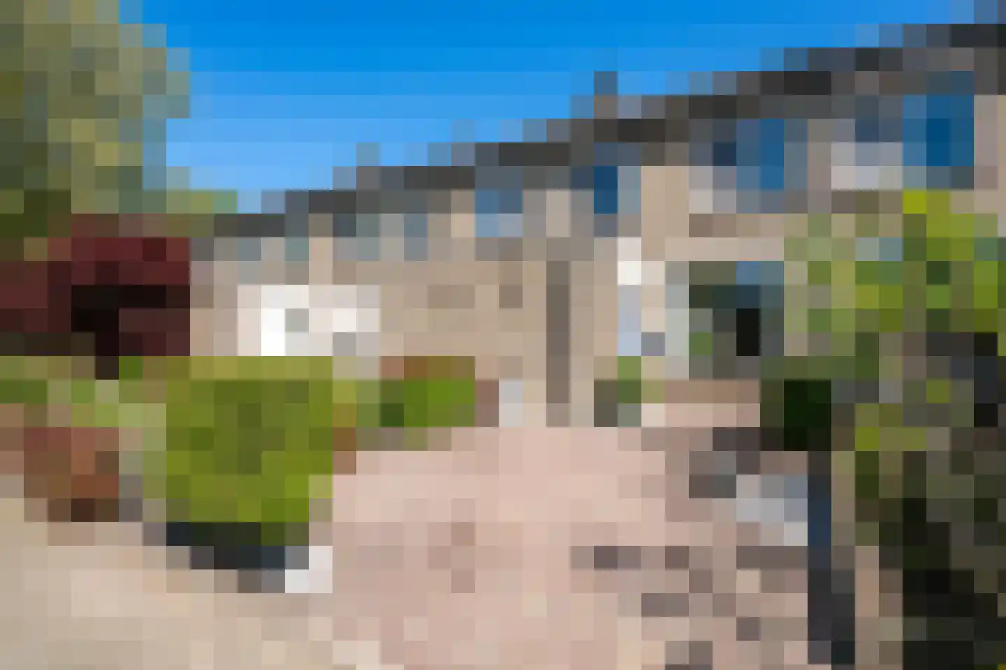 Goudplevier 58 Oss thumbnail 5