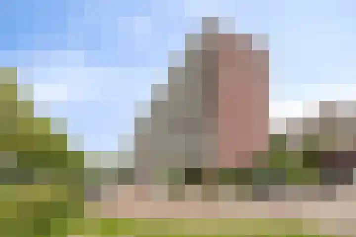 Goudplevier 69 IJsselstein thumbnail 19