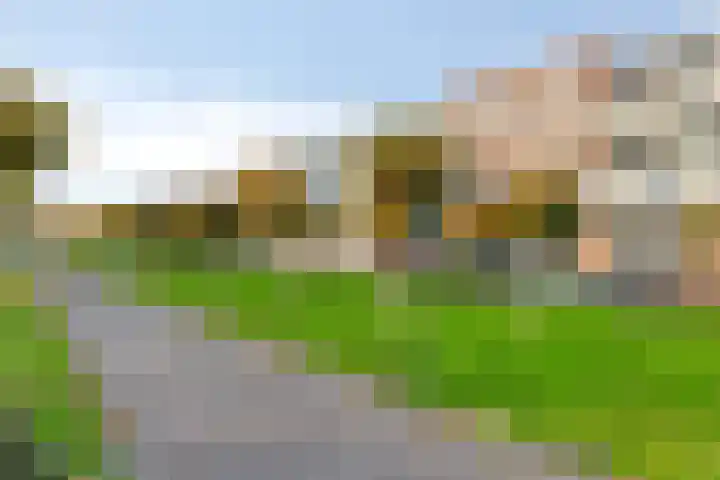 Goudplevier 69 IJsselstein thumbnail 30
