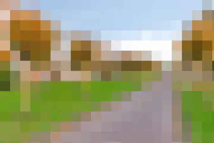 Goudplevier 69 IJsselstein thumbnail 31