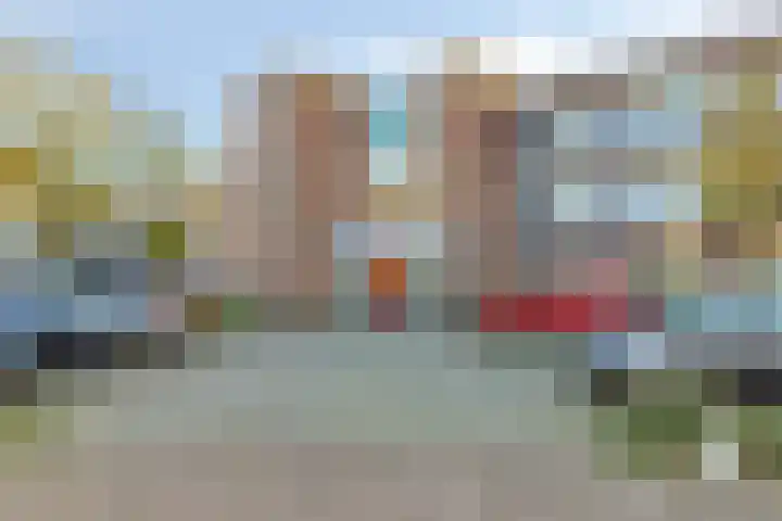 Goudplevier 69 IJsselstein thumbnail 7