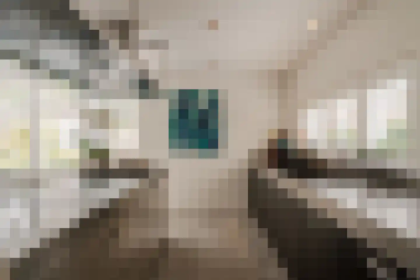Goudplevier 7 Ouderkerk aan de Amstel thumbnail 12