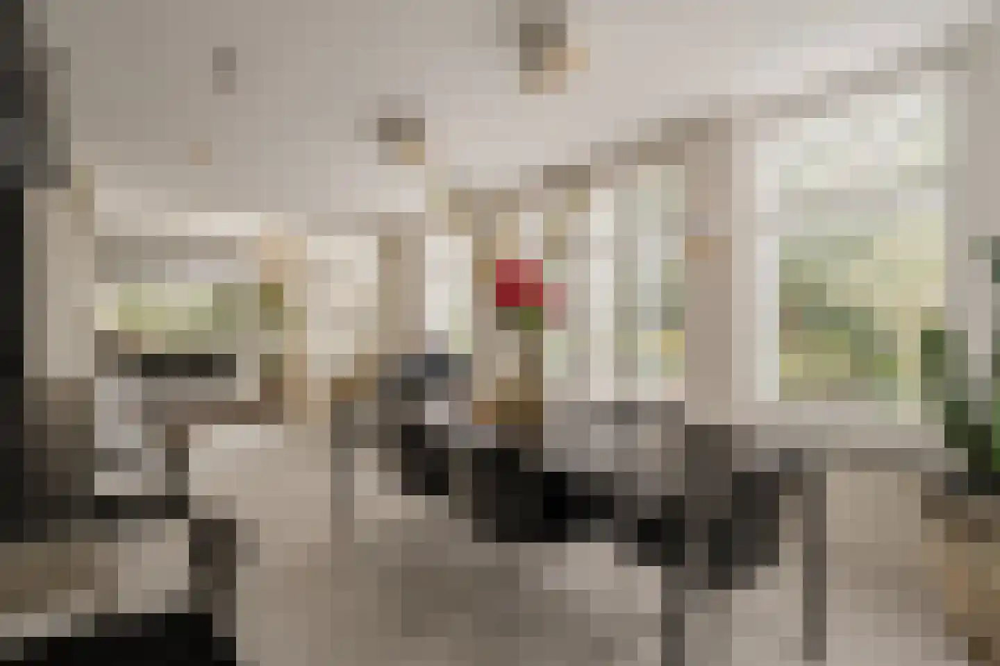 Goudplevier 7 Ouderkerk aan de Amstel thumbnail 13