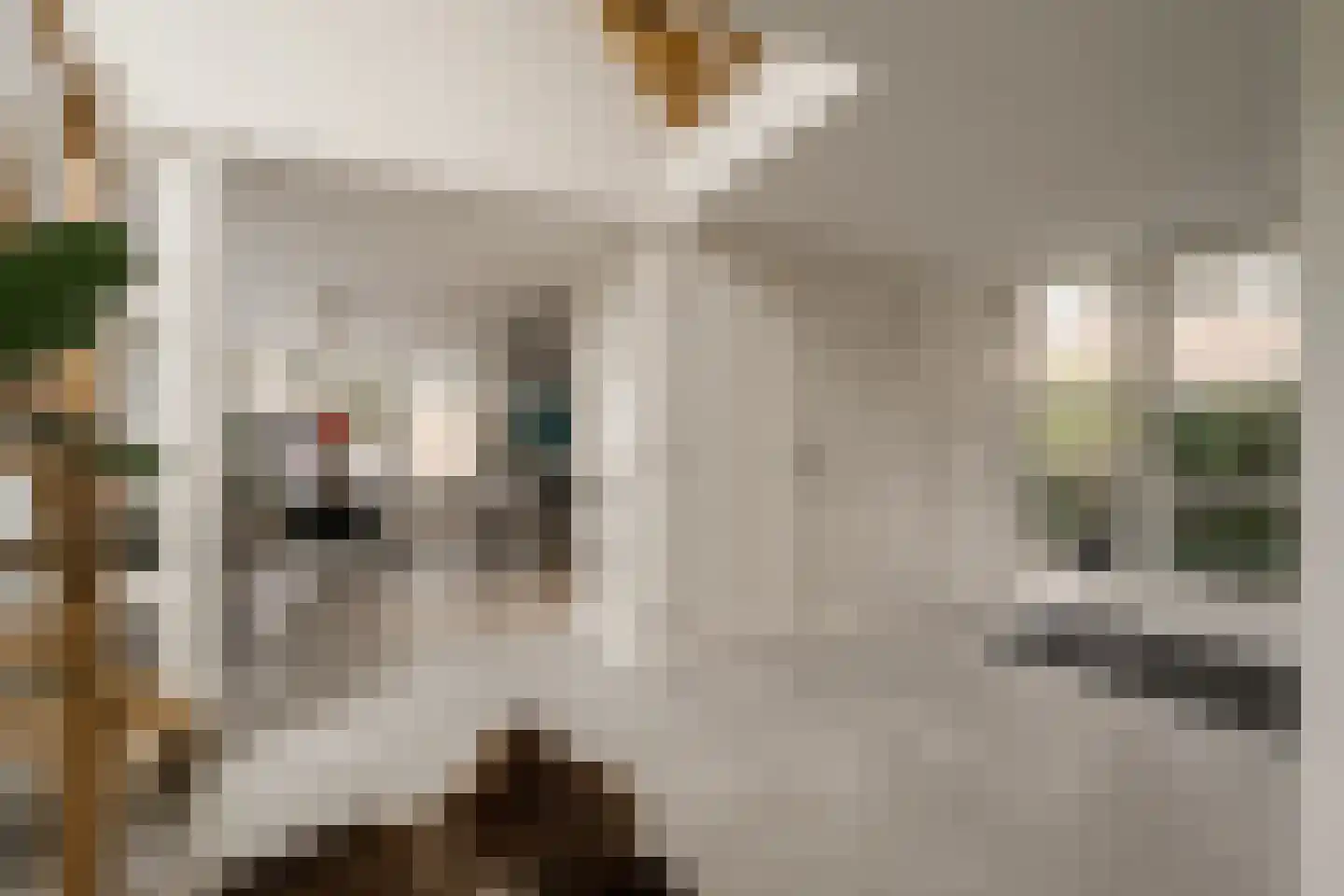 Goudplevier 7 Ouderkerk aan de Amstel thumbnail 14