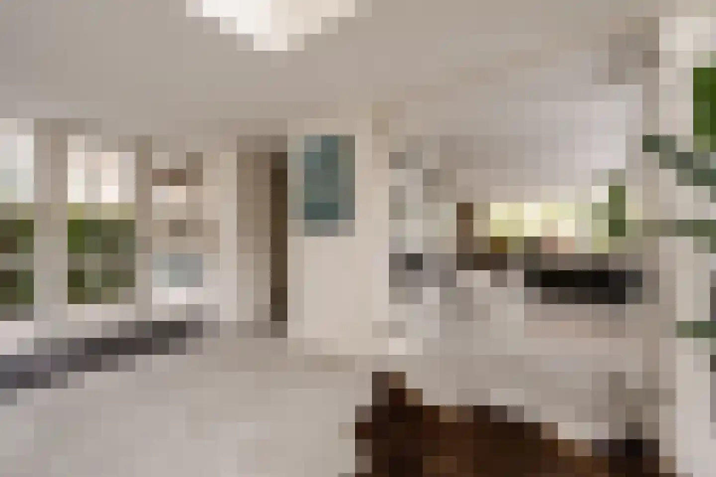Goudplevier 7 Ouderkerk aan de Amstel thumbnail 17