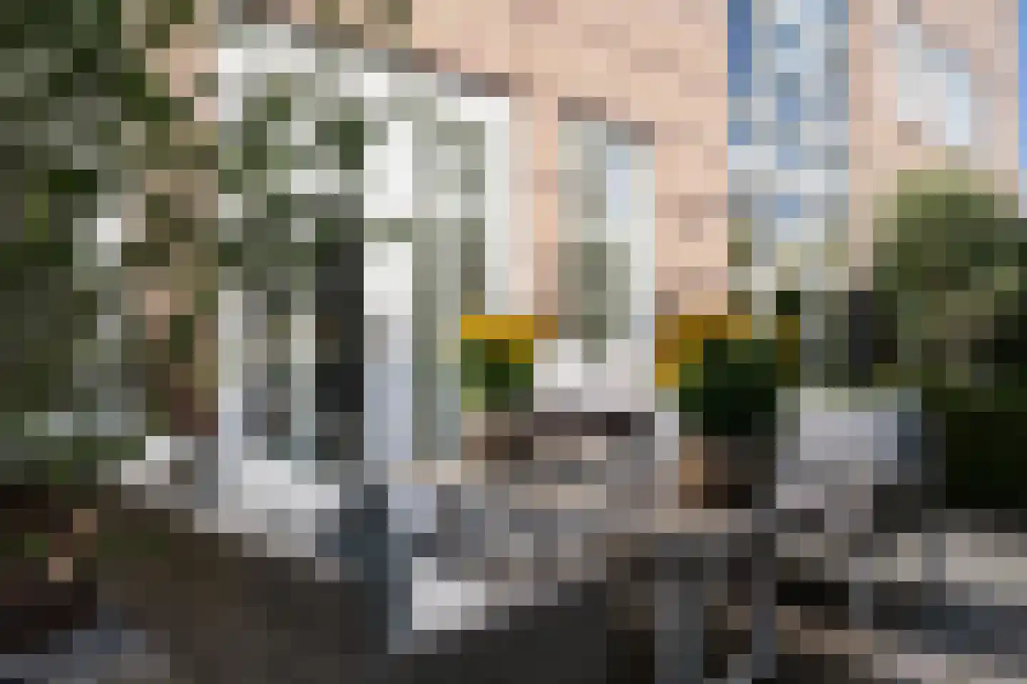 Goudplevier 7 Ouderkerk aan de Amstel thumbnail 26