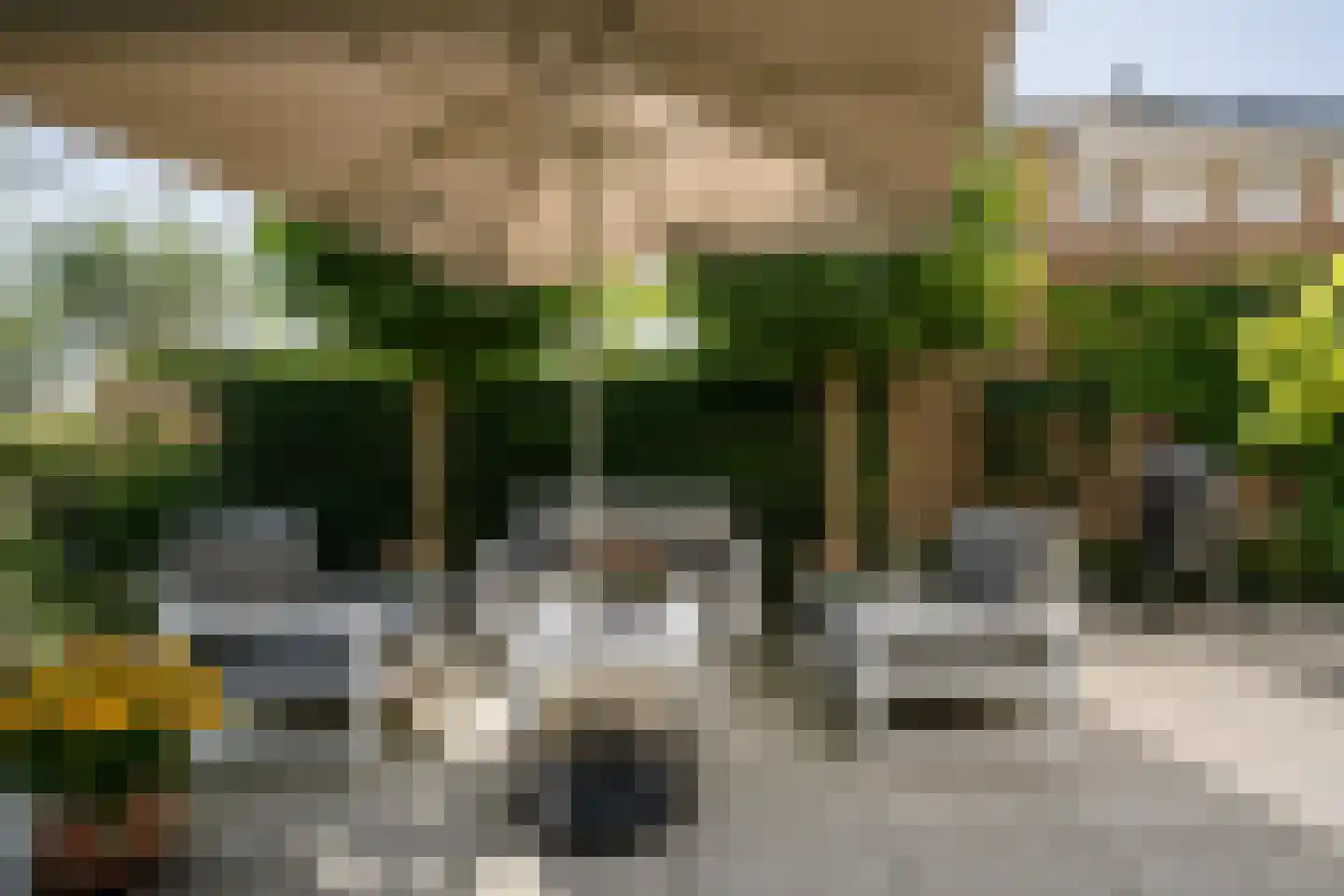 Goudplevier 7 Ouderkerk aan de Amstel thumbnail 27